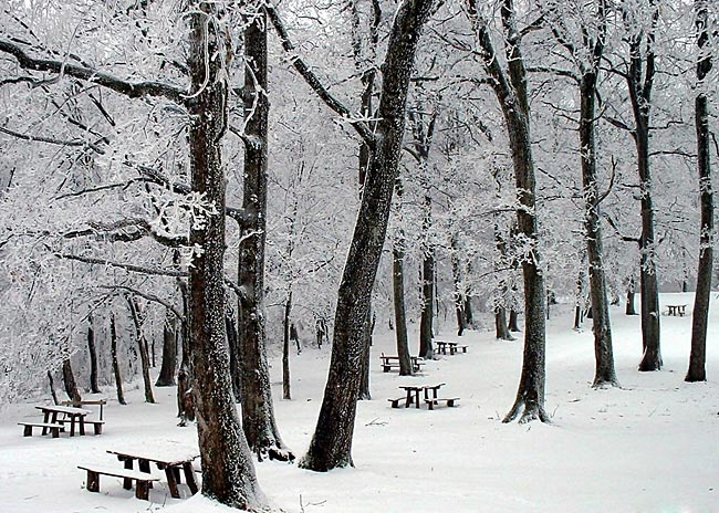 Važno obaveštenje